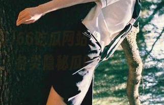 66吃瓜网站，提供从这中心直达各类隐秘瓜的快速通道