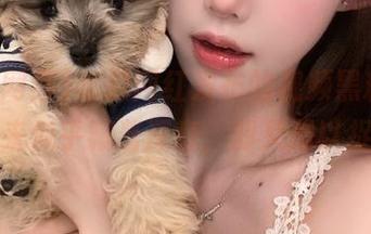 吃瓜网红发布的视频黑料，琢磨起来似乎藏着深意，却又难以捉摸？