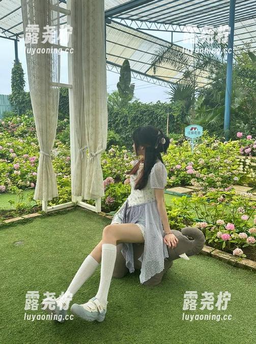 在线戳中要害，黑料老司机的“八卦”技能满分！-露尧柠